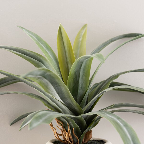 Artificial Dracaena in Ribbed White Plant Pot