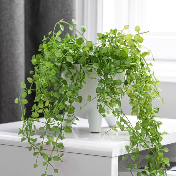 Artificial Trailing Plant in White Footed Plant Pot