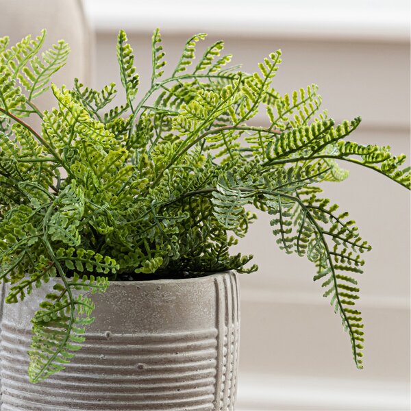 Artificial Green Fern in Grey Concrete Pot