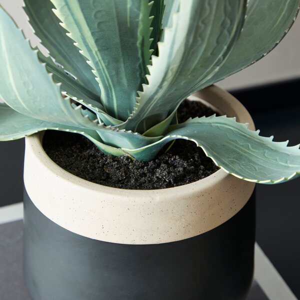 Artificial Aloe Vera in Black Footed Plant Pot