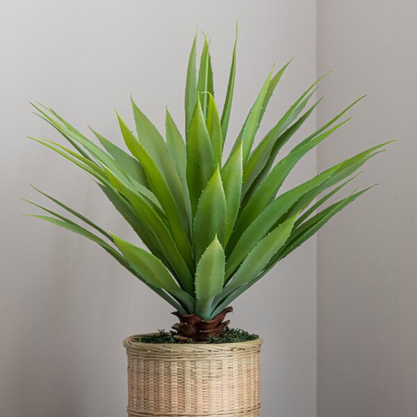 Artificial Dracaena in Bamboo Plant Pot