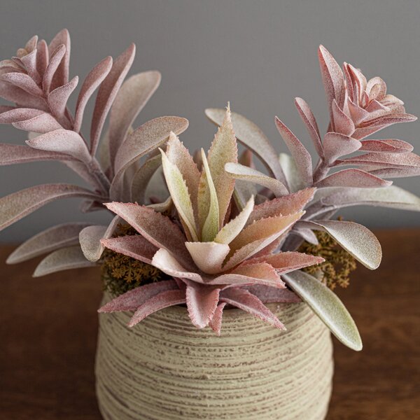 Churchgate Artificial Pink Succulents in Natural Plant Pot