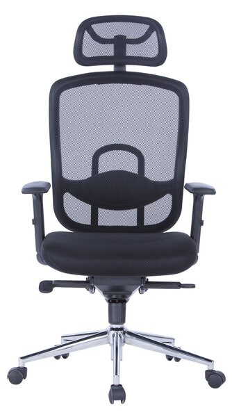 Miami Ergonomic Office Chair