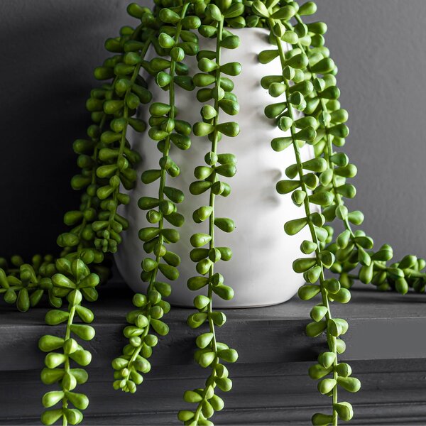 Artificial String of Pearls in White Ceramic Plant Pot