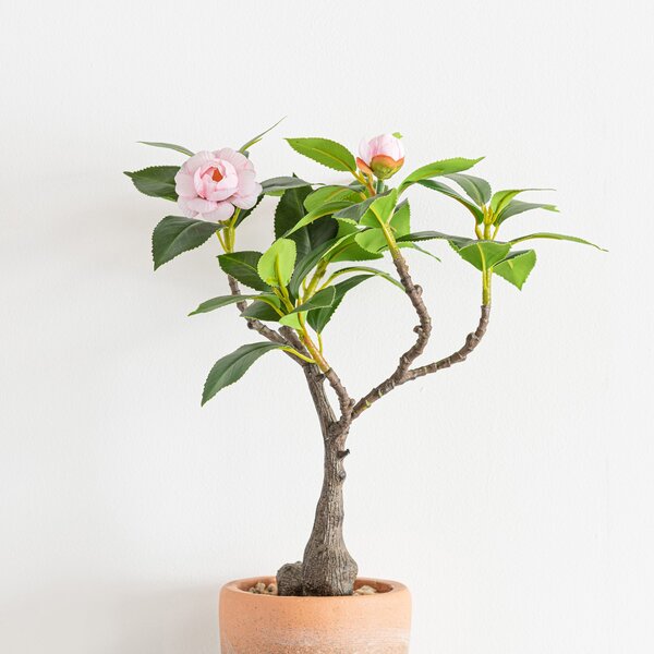 Artificial Camellia Tree in Terracotta Plant Pot