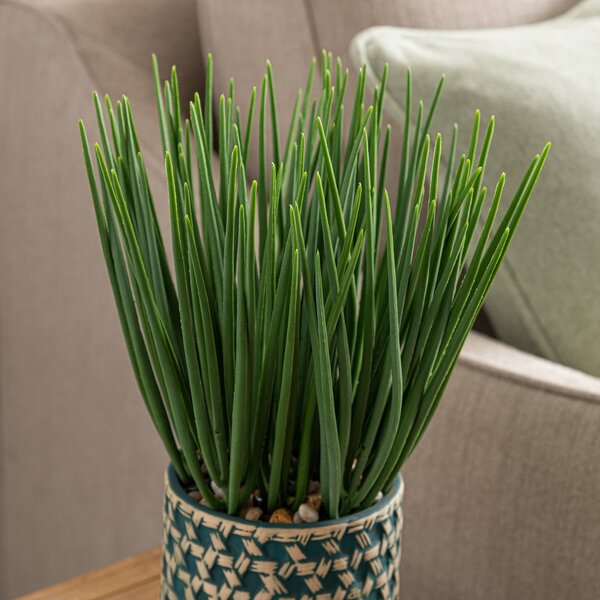 Artificial Sword Grass in Patterned Ceramic Plant Pot