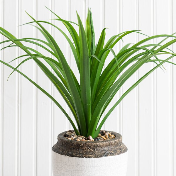 Artificial Dracaena in White Ceramic Plant Pot