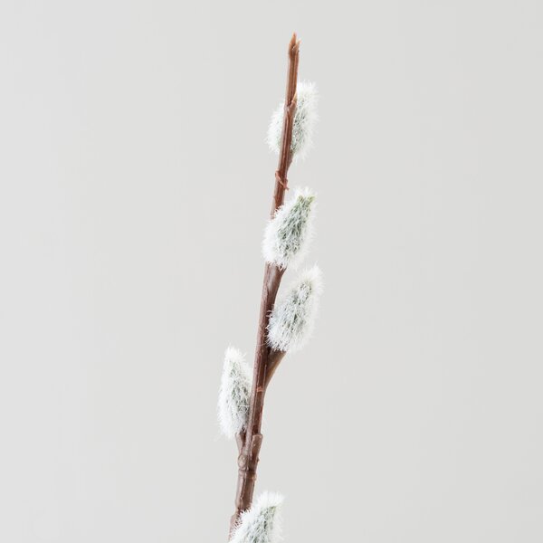 Artificial White Pussy Willow Stem