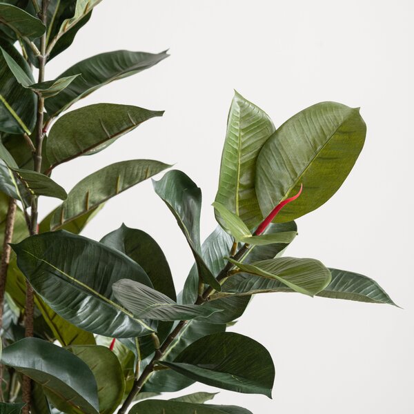 Artificial Rubber Tree in Black Plant Pot