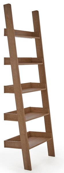 Fulton Ladder Bookcase