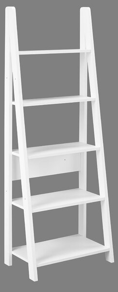 Tiva Ladder Bookcase