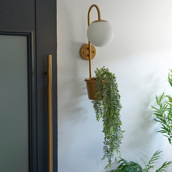 Naomi Outdoor Plant Pot Wall Light