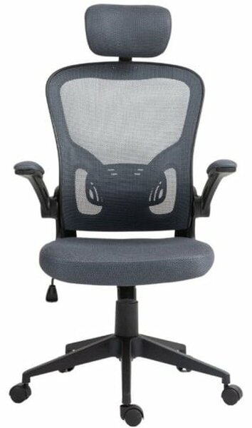 Office Chair Owlotech Grey