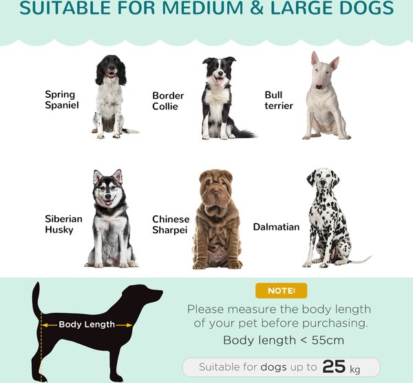 PawHut Dog Sofa, Pet Couch Bed for Medium, Large Dogs, with Legs, Cushion - Green