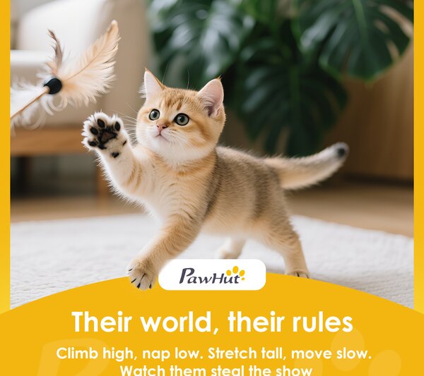 PawHut Cat Tree, 192 cm Large Multi-Level Cat Tower for Indoor Kittens with 8 Scratching Posts, 3 Plush Beds, 2 Hammocks