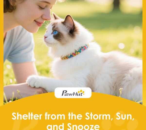 PawHut Cat Tent, 3-Tier Portable Pet Tent for Indoor Outdoor, Cat House with Multi-Door, Carry Bag, Breathable Mesh