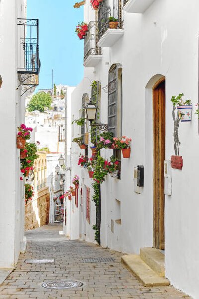 Photography Picturesque narrow street with flowerpots in, amoklv