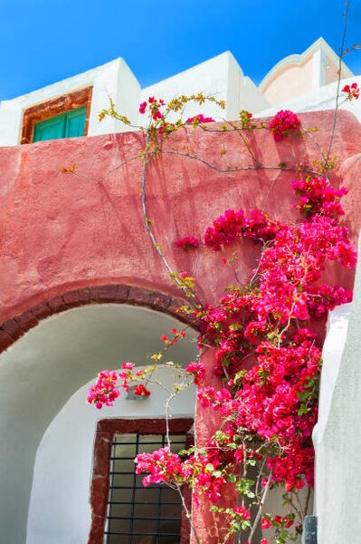 Photography Traditional greek architecture. Santorini island, Greece., Olga_Gavrilova