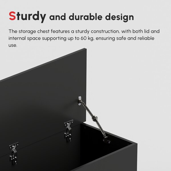 HOMCOM Storage Bench, Wooden Toy Box, Clothes Chest with Lid, Seating Ottoman, Blanket Trunk, Black