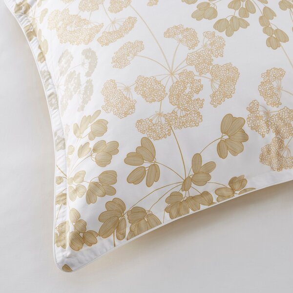 Dorma Daylesford 300 Thread Count Cotton Sateen Continental Pillowcase