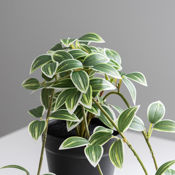 Artificial Trailing Tradescantia in Black Plant Pot