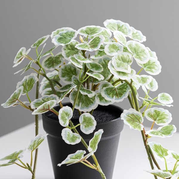 Artificial Trailing Geranium in Black Plant Pot