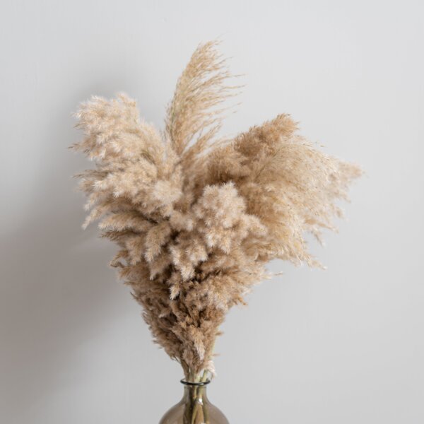 Dried Pampas Natural Grass Bouquet