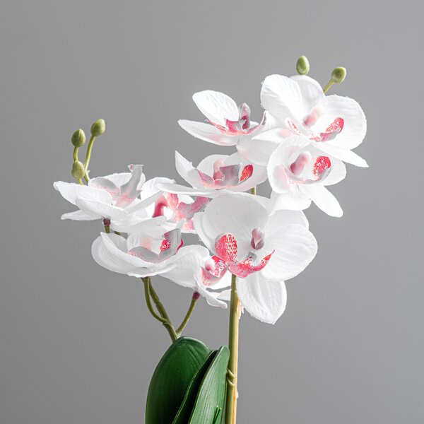 Artificial White Orchid in Black Plant Pot