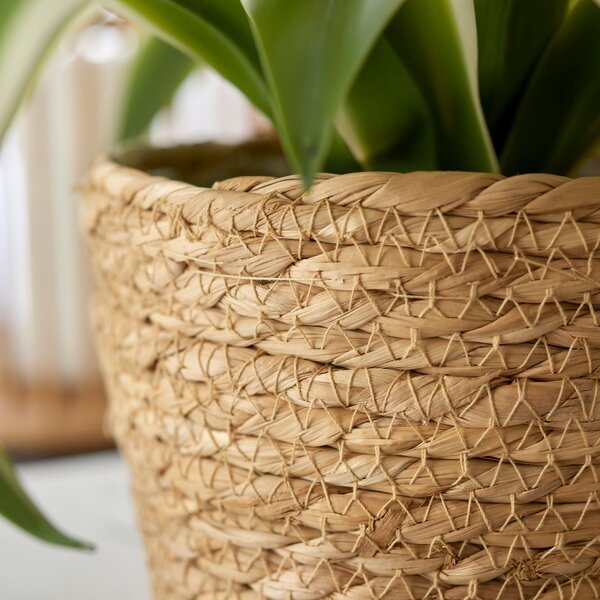 Woven Rope Plant Pot