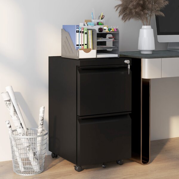 Vinsetto 2 Drawer Small Filing Cabinet on Wheels, Steel Lockable File Cabinet w/ Adjustable Hanging Bar for Letter, A4 & Legal Size, Black Aosom UK