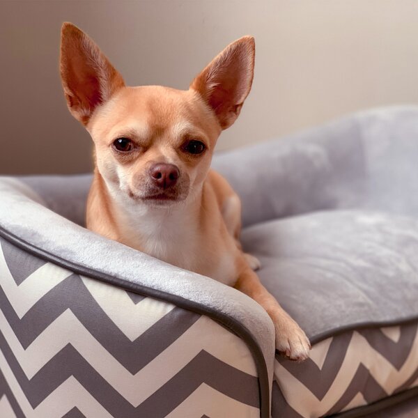 PawHut Dog Sofa Pet Couch for XS Dogs w/ Removable Sponge Padded Cushion - Grey Aosom UK