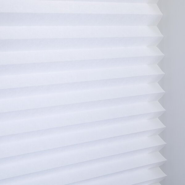 Temporary Paper Daylight Blinds