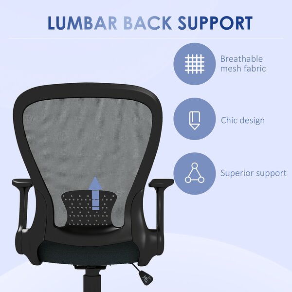 Vinsetto Ergonomic Office Chair: Mesh Design with Flip-up Armrests, Lumbar Support & Swivel Wheels, Grey Aosom UK