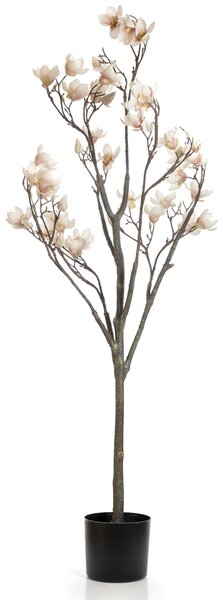 Artificial Cream Magnolia Tree in Black Plant Pot