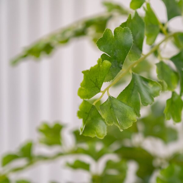 Artificial Mini Leaf Gingko Tree in Black Plant Pot