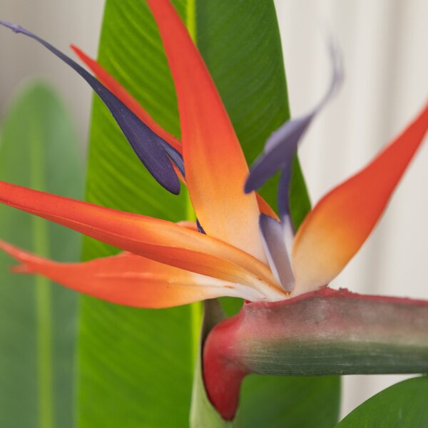 Artificial Bird of Paradise Plant in Black Plant Pot