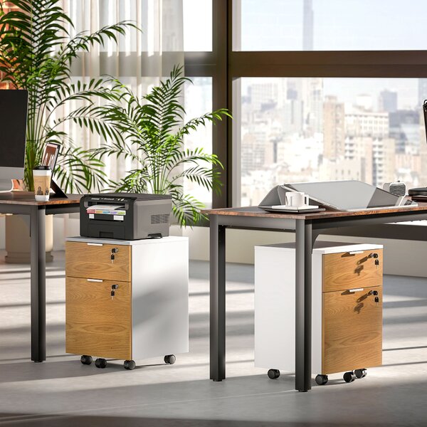 HOMCOM 2 Drawer Filing Cabinet w/ Lock & Wheels, Mobile File Cabinet w/ Adjustable Hanging Bars for A4 & Letter, Under Desk Office Cabinet Aosom UK