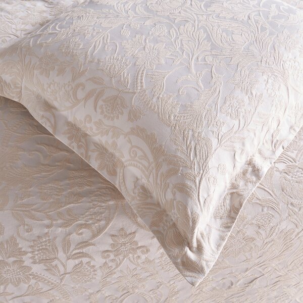 Dorma Winchester Champagne Continental Pillowcase