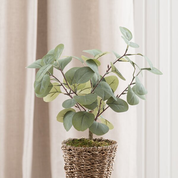 Artificial Small Eucalyptus Tree in Woven Plant Pot