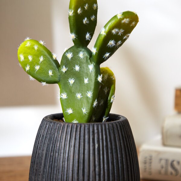 Artificial Cacti in Black Ribbed Ceramic Plant Pot