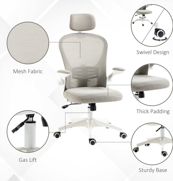 Vinsetto Multi-Adjustable Office Chair, Ergonomic Desk Chair with Lumbar Support, Headrest and Mesh Back for Home & Office, Grey Aosom UK