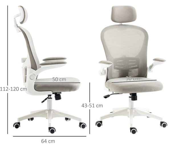 Vinsetto Multi-Adjustable Office Chair, Ergonomic Desk Chair with Lumbar Support, Headrest and Mesh Back for Home & Office, Grey Aosom UK