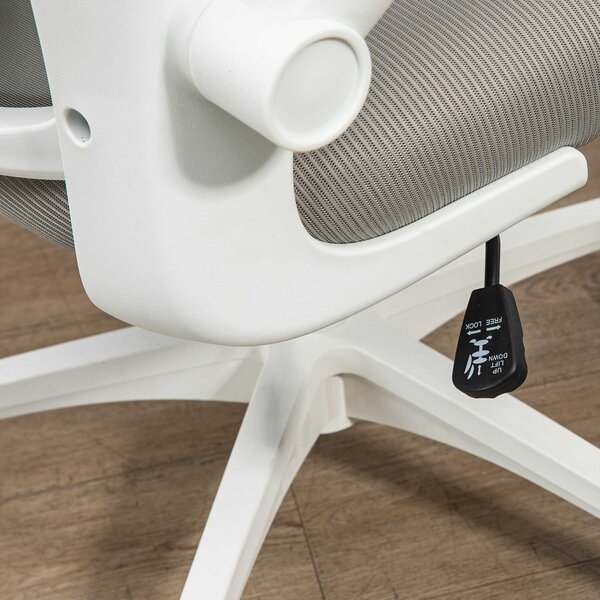 Vinsetto Multi-Adjustable Office Chair, Ergonomic Desk Chair with Lumbar Support, Headrest and Mesh Back for Home & Office, Grey Aosom UK