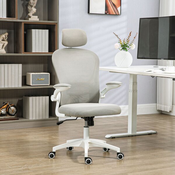 Vinsetto Multi-Adjustable Office Chair, Ergonomic Desk Chair with Lumbar Support, Headrest and Mesh Back for Home & Office, Grey Aosom UK