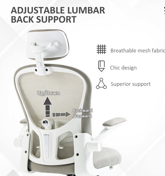 Vinsetto Multi-Adjustable Office Chair, Ergonomic Desk Chair with Lumbar Support, Headrest and Mesh Back for Home & Office, Grey Aosom UK