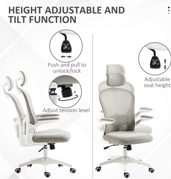 Vinsetto Multi-Adjustable Office Chair, Ergonomic Desk Chair with Lumbar Support, Headrest and Mesh Back for Home & Office, Grey Aosom UK