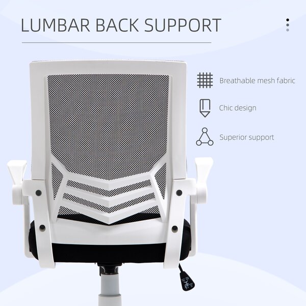 Vinsetto Ergonomic Desk Chair with Flip-Up Armrests, Swivel Wheels & Adjustable Lumbar Support for Home Office & Study, Scratch Resistant, Black Aosom UK