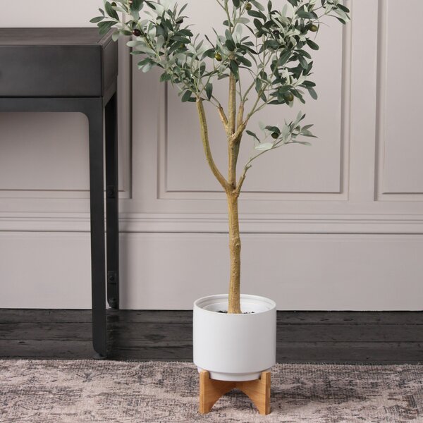 Plain Ceramic Plant Pot on Wooden Stand