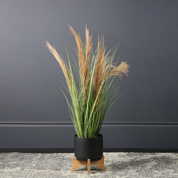 Plain Ceramic Plant Pot on Wooden Stand