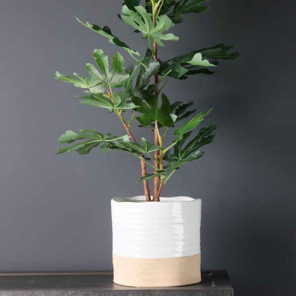 Two Tone Rustic Plant Pot